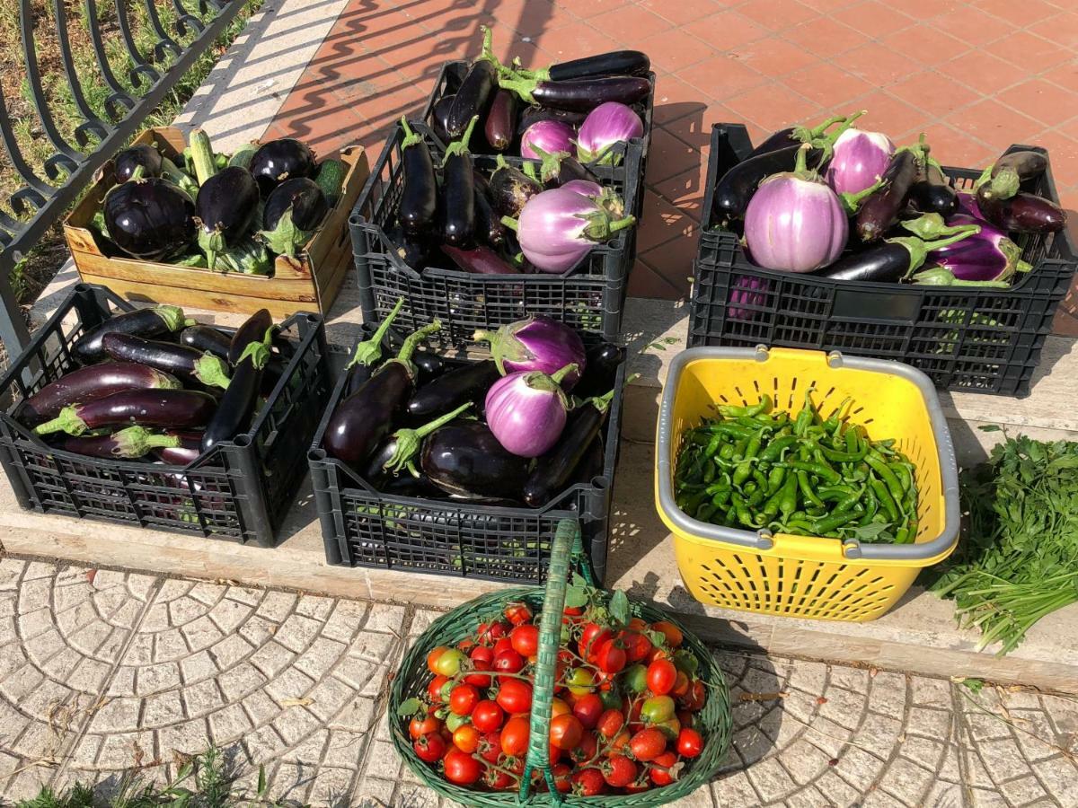 Il Giardino Di Nonno Agostino Bed and Breakfast Castellammare di Stabia Εξωτερικό φωτογραφία