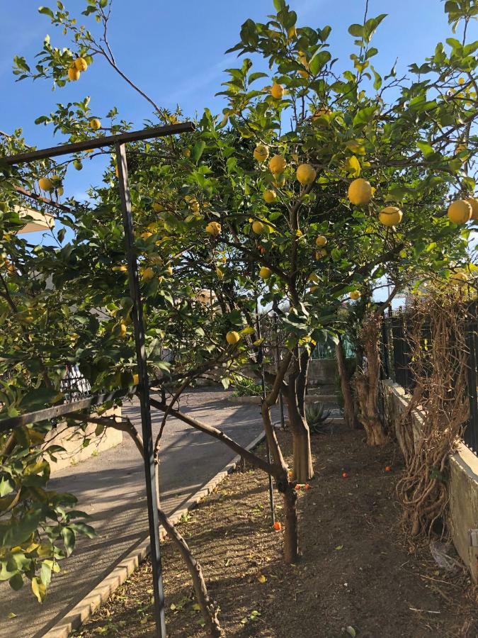 Il Giardino Di Nonno Agostino Bed and Breakfast Castellammare di Stabia Εξωτερικό φωτογραφία